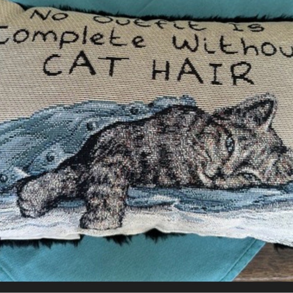 Cat-Themed Decorative Pillow with Blue and Gray Design